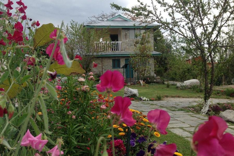 Nagri Resort Pālampur Esterno foto