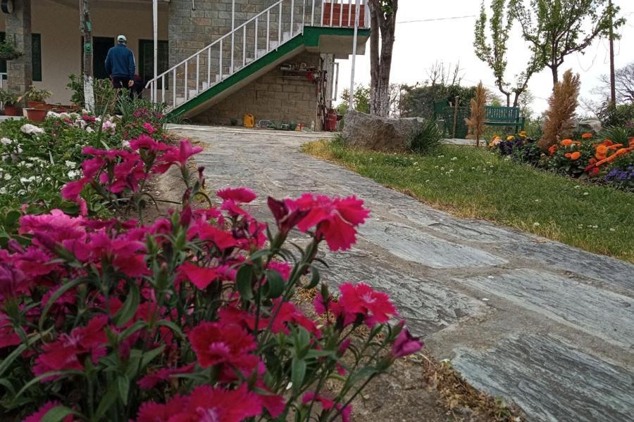 Nagri Resort Pālampur Esterno foto