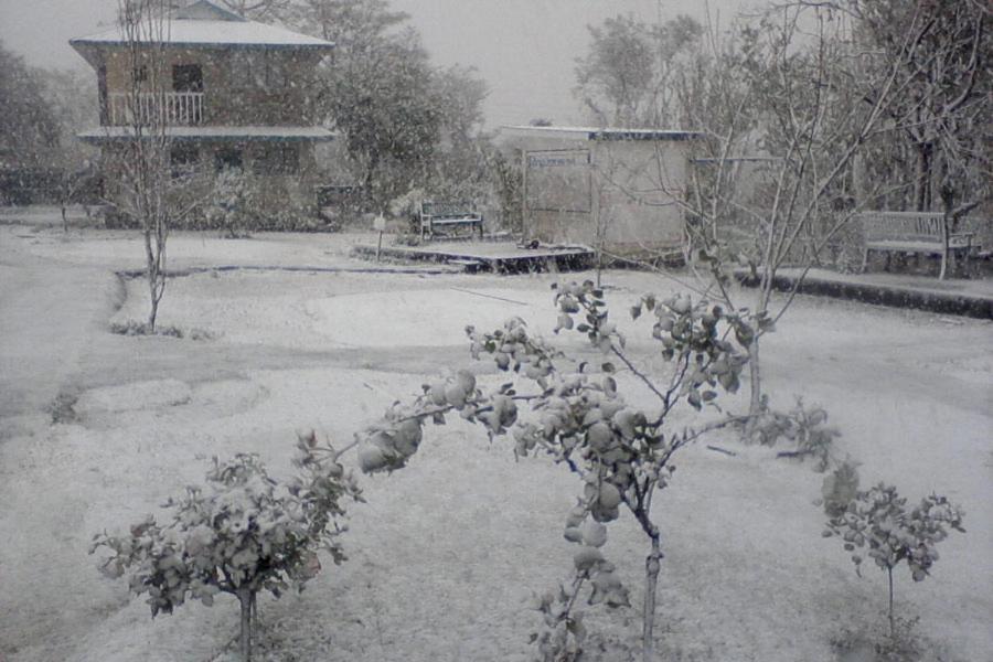 Nagri Resort Pālampur Esterno foto