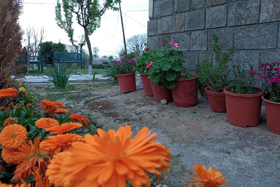 Nagri Resort Pālampur Esterno foto